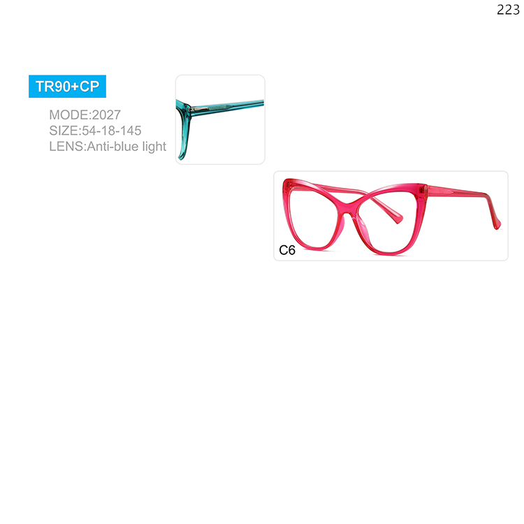 2020-27 TR+CP Computer Anti Blue Ray Optical Eyeglasses with Custom Logo (2)