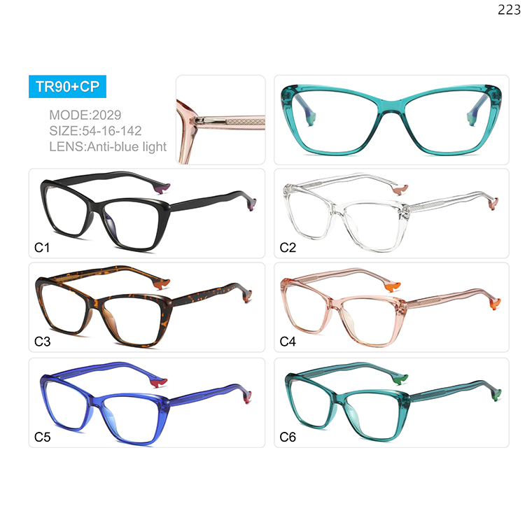 2029-37 Trendy Design TR90 Blue Ray Blocking Eyewear Optical Frame with CP Legs (1)