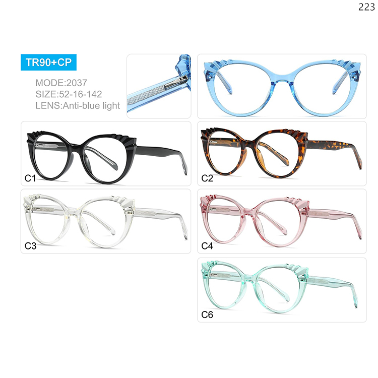 2029-37 Trendy Design TR90 Blue Ray Blocking Eyewear Optical Frame with CP Legs (2)