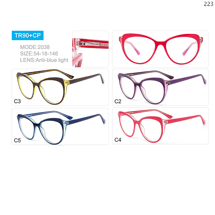 2038-45 Ladies Style TR90 Anti Blue Light Myopia Optical Glasses with Spring Hinges (1)