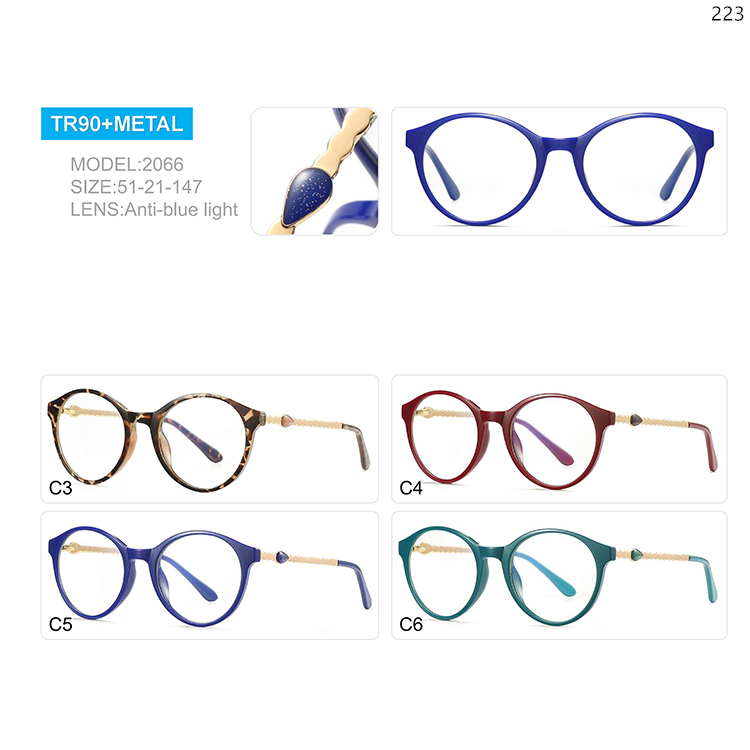 2066-70 New Tendy TR90+Metal Computer Protection Glasses with Custom Logo (1)