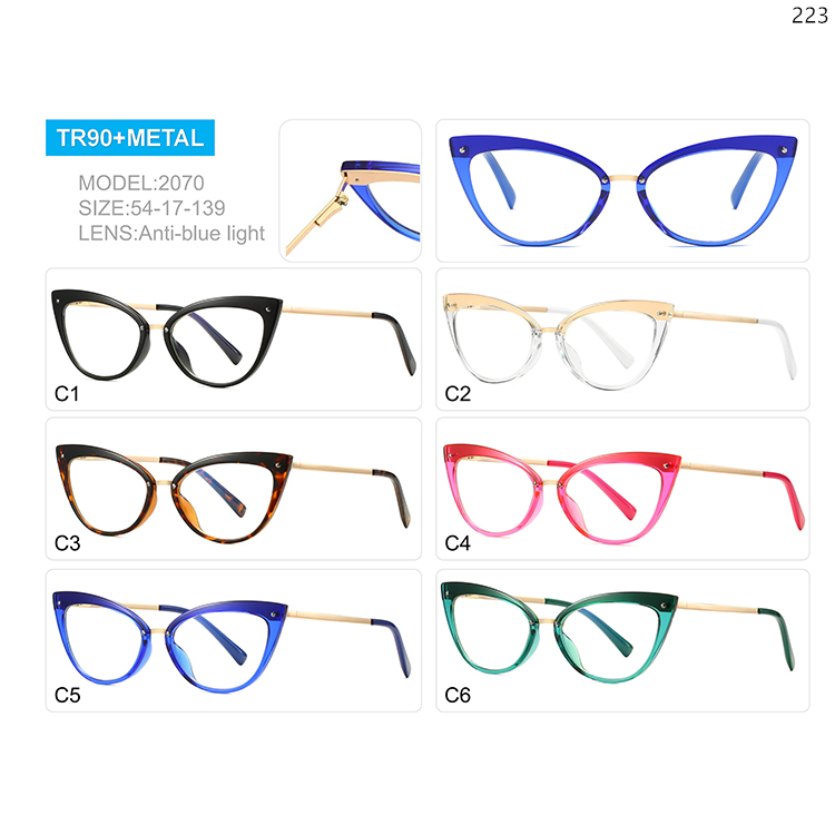 2066-70 New Tendy TR90+Metal Computer Protection Glasses with Custom Logo (2)