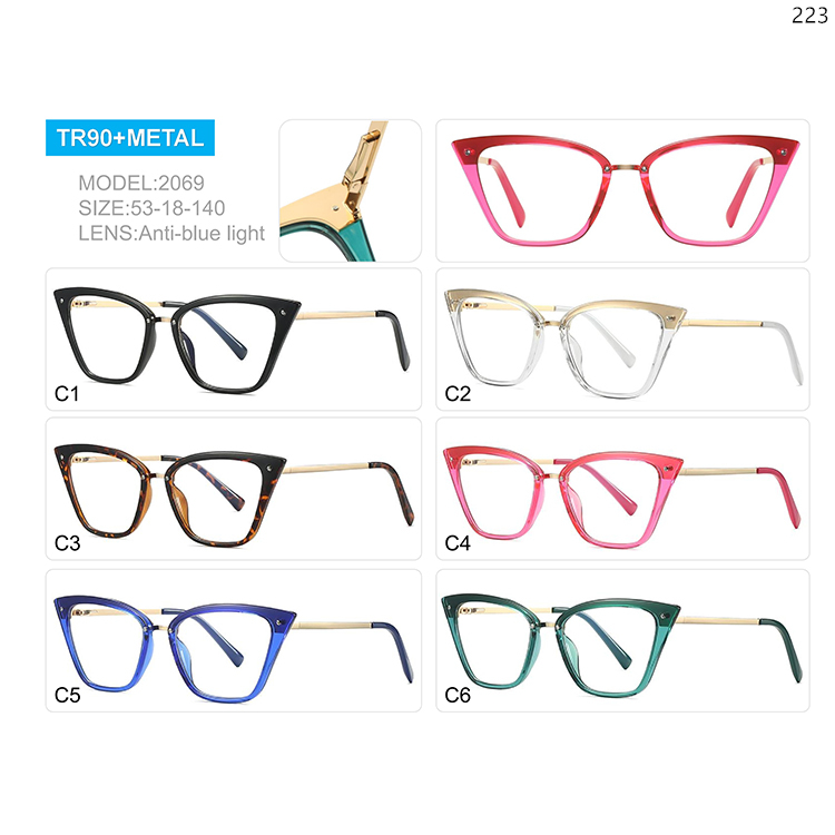 2066-70 New Tendy TR90+Metal Computer Protection Glasses with Custom Logo (3)