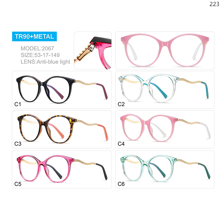 2066-70 New Tendy TR90+Metal Computer Protection Glasses with Custom Logo (5)