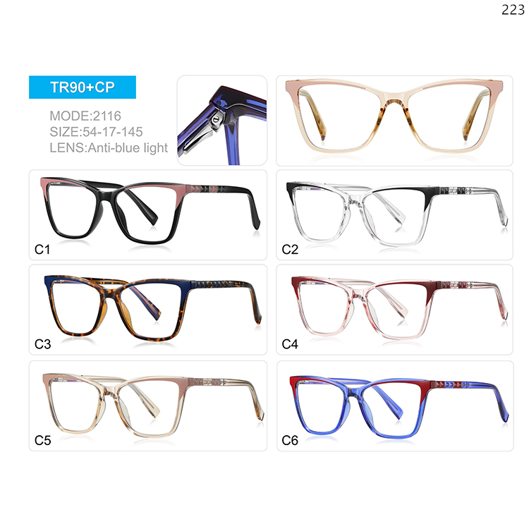 2101-18 Good Quality TR90+CP Blue Ray Blocking Optical Frames Spectacles (4)