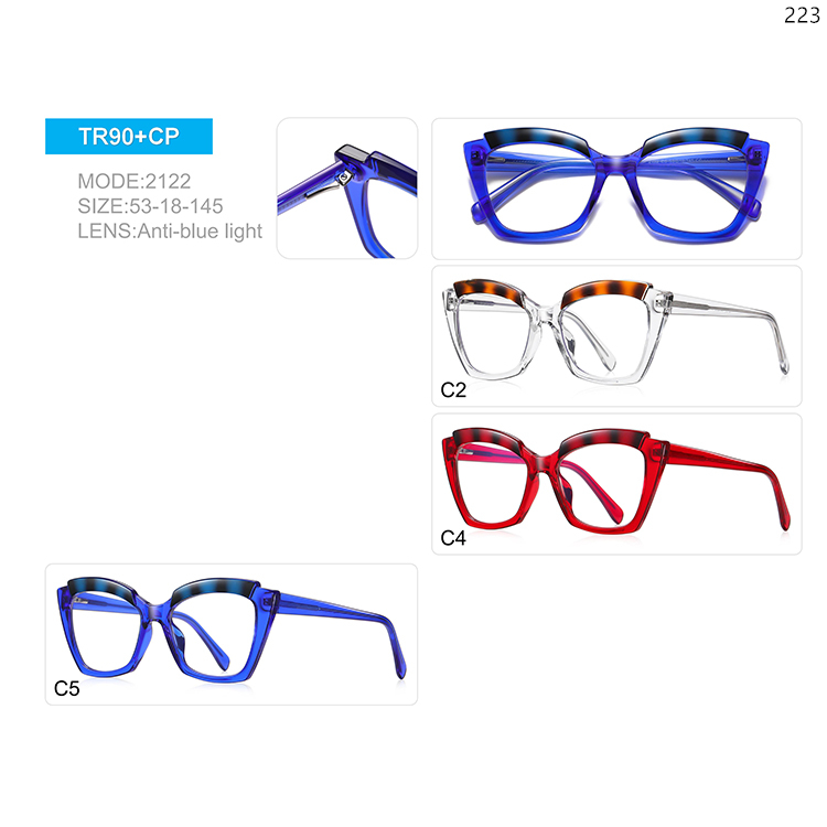 2119-24 Ready Stock TR90 Myopia Optical Glasses Manufacturers with Blue Light Blocking (3)