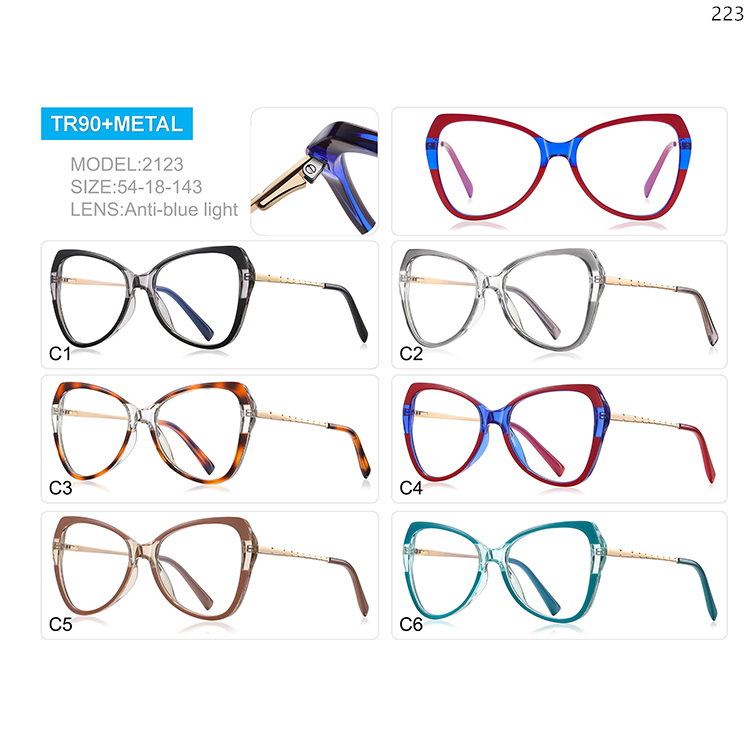 2123-2208 Stylish Woman Oversize Frame TR+Metal Optical Eyewear with Blue Light Blocking (1)