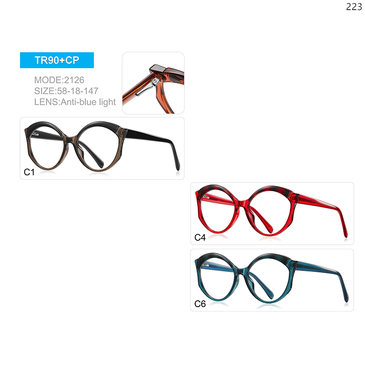 2125-32 TR90 Material Ready Stock Blue Light Blocking Optical Frame with CP Temples (5)