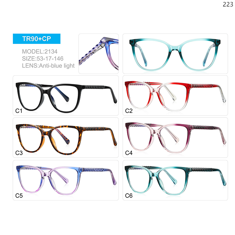 2134-38 Women Style Colorful TR90 Anti-blue Light Eyewear with Metal Spring Hinge (1)