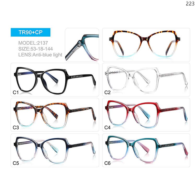 2134-38 Women Style Colorful TR90 Anti-blue Light Eyewear with Metal Spring Hinge (3)