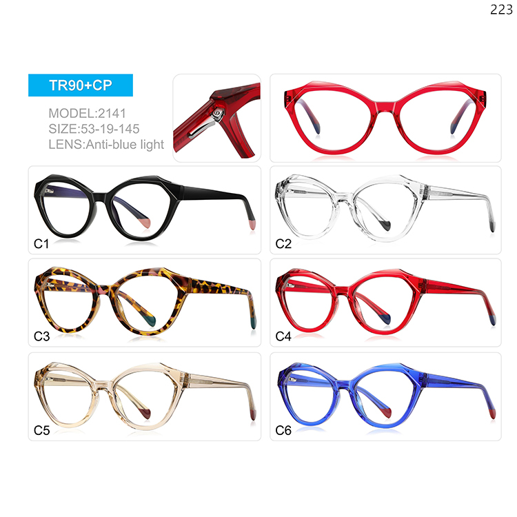 2139-43 TR90+CP Oversized TR90+CP OEM Optical Frame with Blue Light Protection (4)