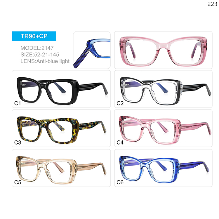 2144-48 Ready Stock Wholesale Big Frame Blue Light Filter Glasses with Metal Spring Hinge (3)