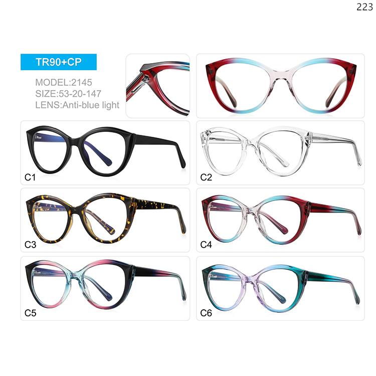 2144-48 Ready Stock Wholesale Big Frame Blue Light Filter Glasses with Metal Spring Hinge (5)