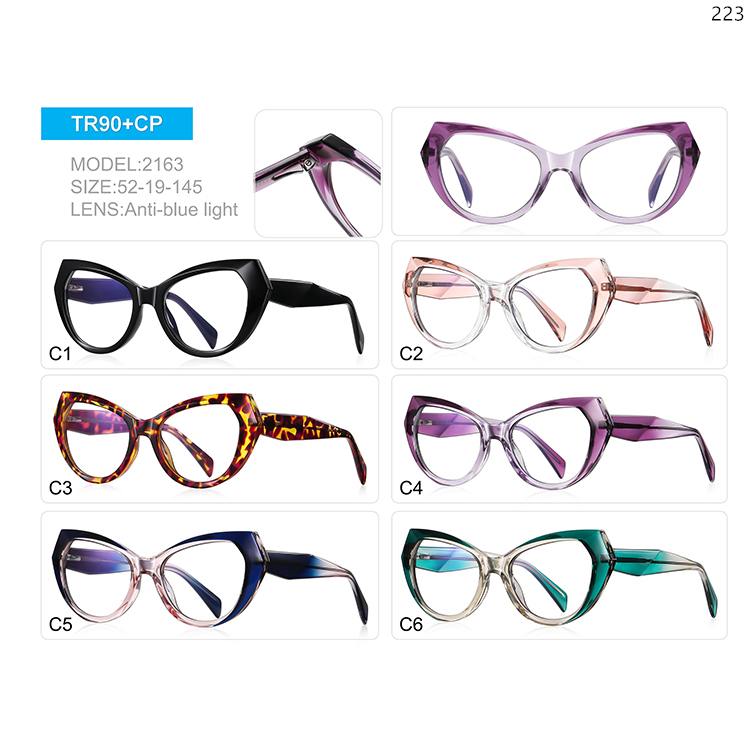 2159-63 TR90 Fashion Oversized Frame Blue Light Blocking Eyeglasses for Ladies (2)