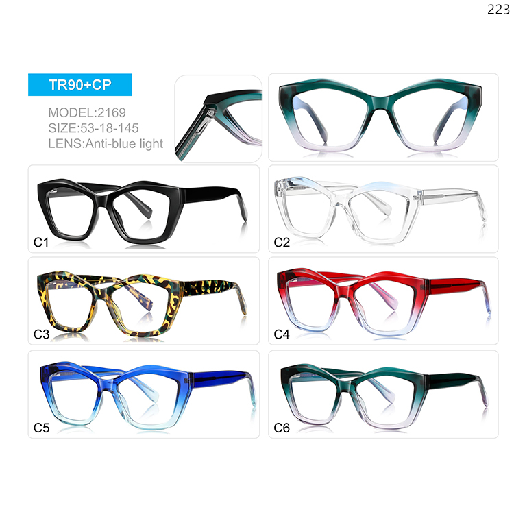2169-73 Hot Trends Oversized Thick Design TR90 Optical Eyewear with Block Blue Light Lens (1)
