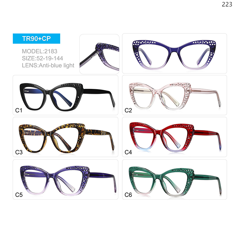 2179-83 Ladies Design TR90 Material Blue Computer Glasses with Cat Eye Shape (2)