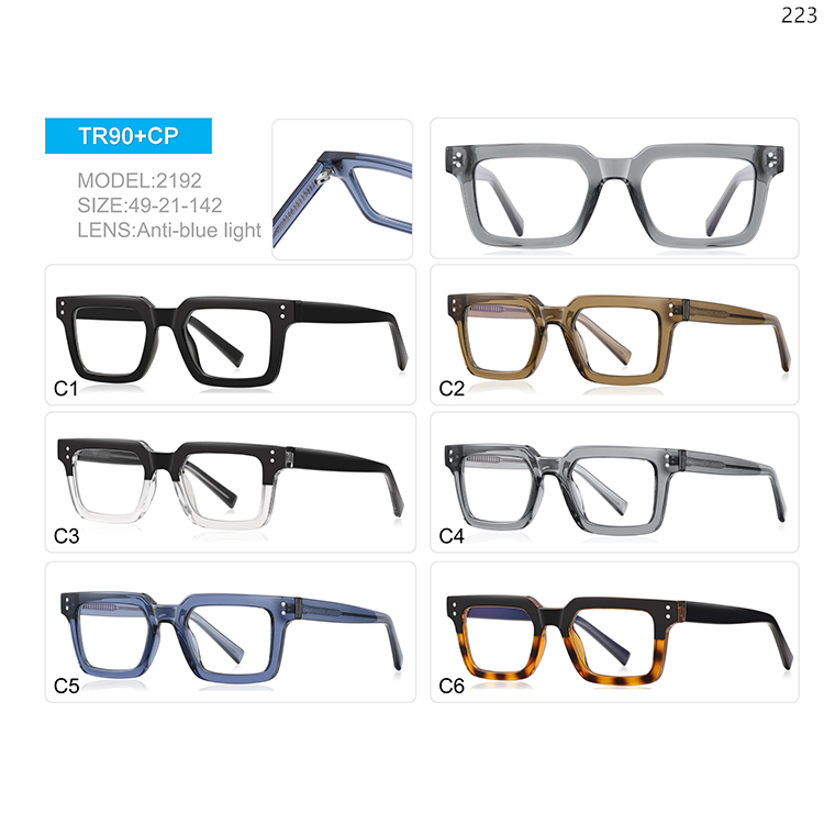 2189-93 Men Style TR90+CP Blue Blocking Optical Glasses Eyeglasses Frame with Metal Hinge (3)