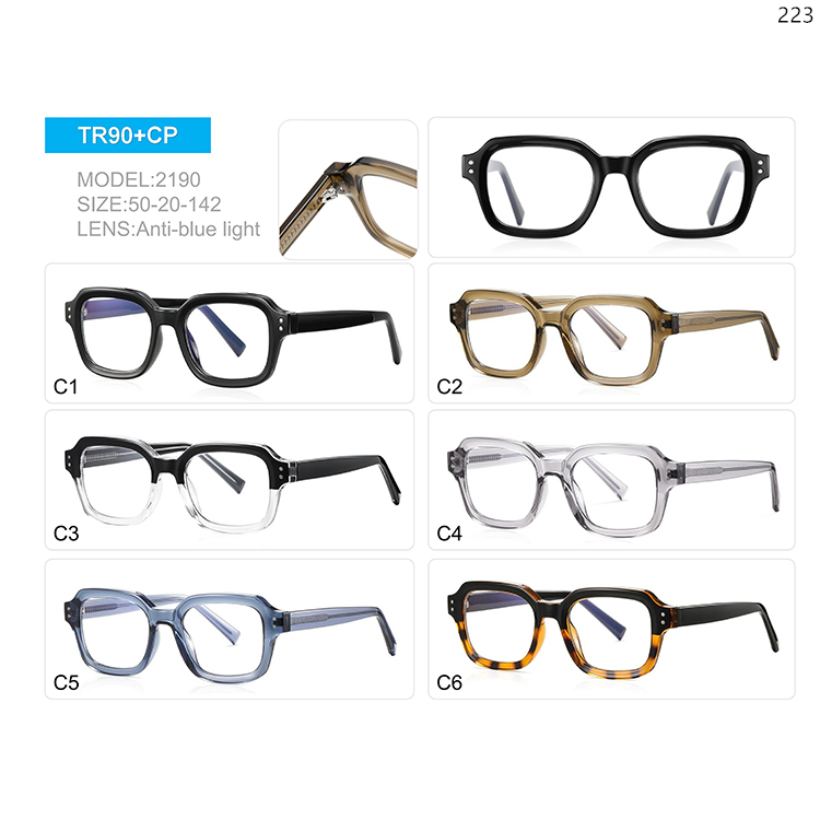2189-93 Men Style TR90+CP Blue Blocking Optical Glasses Eyeglasses Frame with Metal Hinge (5)