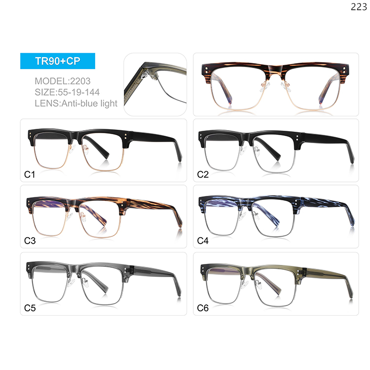 2200-06 High Quality Stock Wholesale Big Frame TR Anti Blue Light Eye Glasses for Men (4)