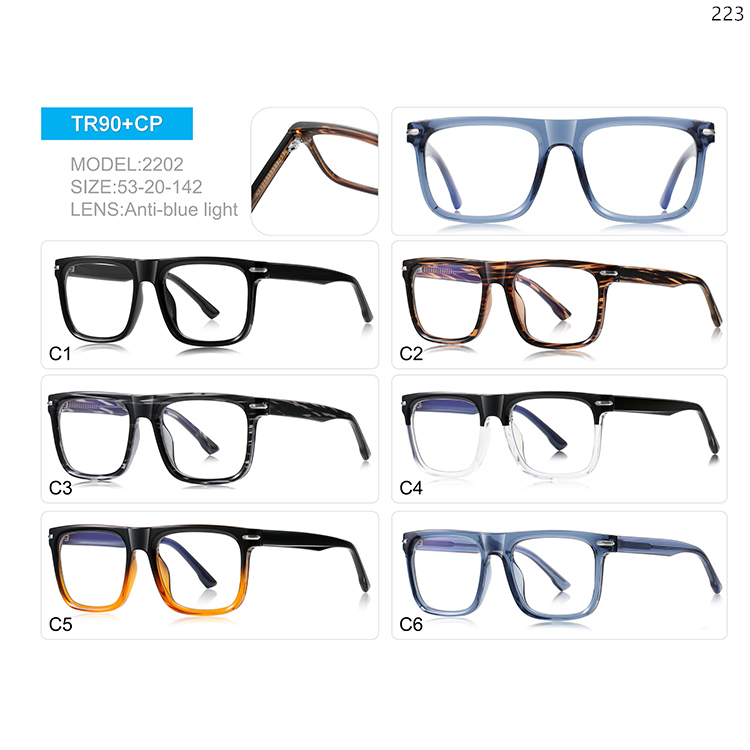 2200-06 High Quality Stock Wholesale Big Frame TR Anti Blue Light Eye Glasses for Men (5)