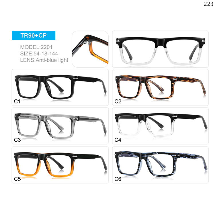 2200-06 High Quality Stock Wholesale Big Frame TR Anti Blue Light Eye Glasses for Men (6)