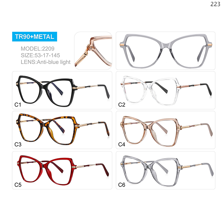 2209-14 Ladies Design Big Shape TR90 Prescription Glasses with Anti Blue Light Lenses (1)