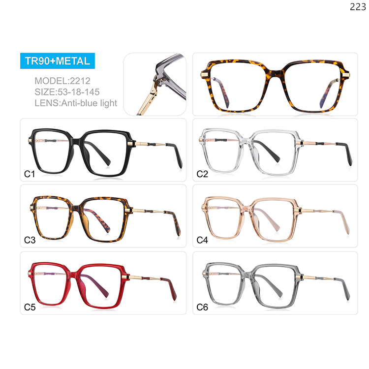 2209-14 Ladies Design Big Shape TR90 Prescription Glasses with Anti Blue Light Lenses (3)