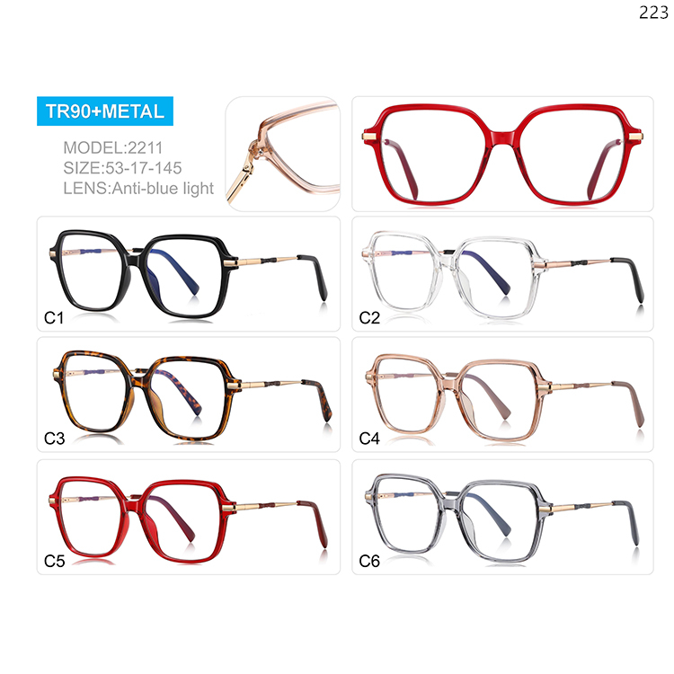 2209-14 Ladies Design Big Shape TR90 Prescription Glasses with Anti Blue Light Lenses (4)