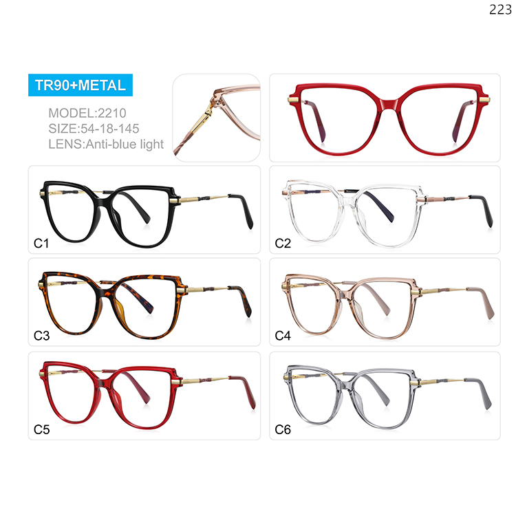 2209-14 Ladies Design Big Shape TR90 Prescription Glasses with Anti Blue Light Lenses (5)