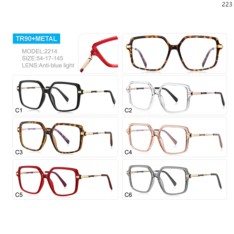 2209-14 Ladies Design Big Shape TR90 Prescription Glasses with Anti Blue Light Lenses