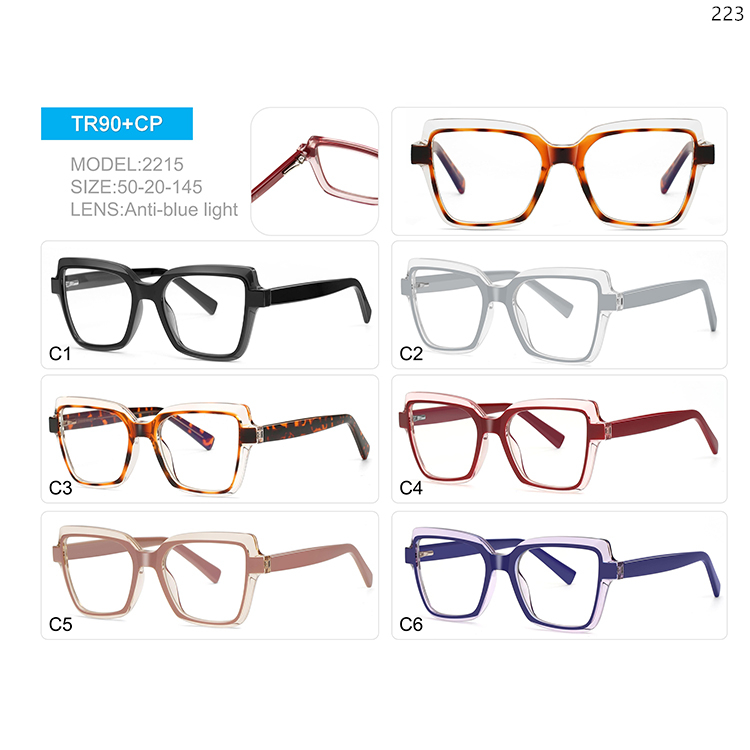 2215-19 New Trends Women Design Blue Light Blocking Glasses with Metal Spring Hinge (1)