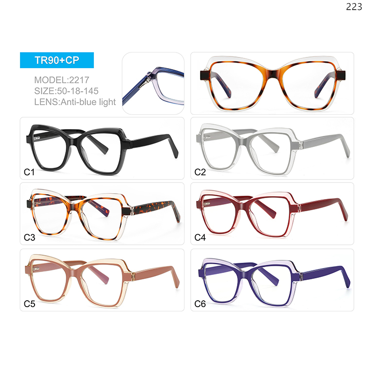 2215-19 New Trends Women Design Blue Light Blocking Glasses with Metal Spring Hinge (4)
