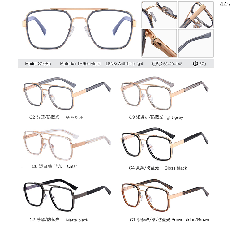 81061-81095 TR90+Metal Optical Glasses With Double Bridge (3)