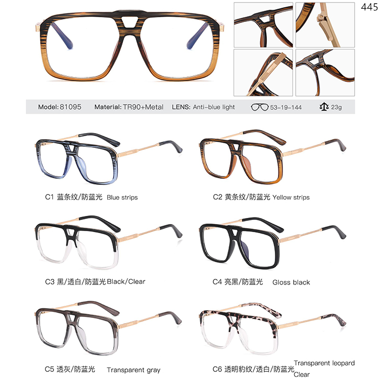 81061-81095 TR90+Metal Optical Glasses With Double Bridge (5)