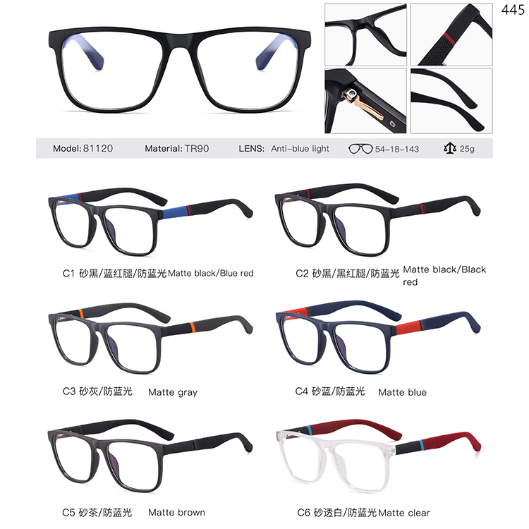 81116-82063 TR90+Metal Optical Frame WIth Anti-Blue Light Lens (3)
