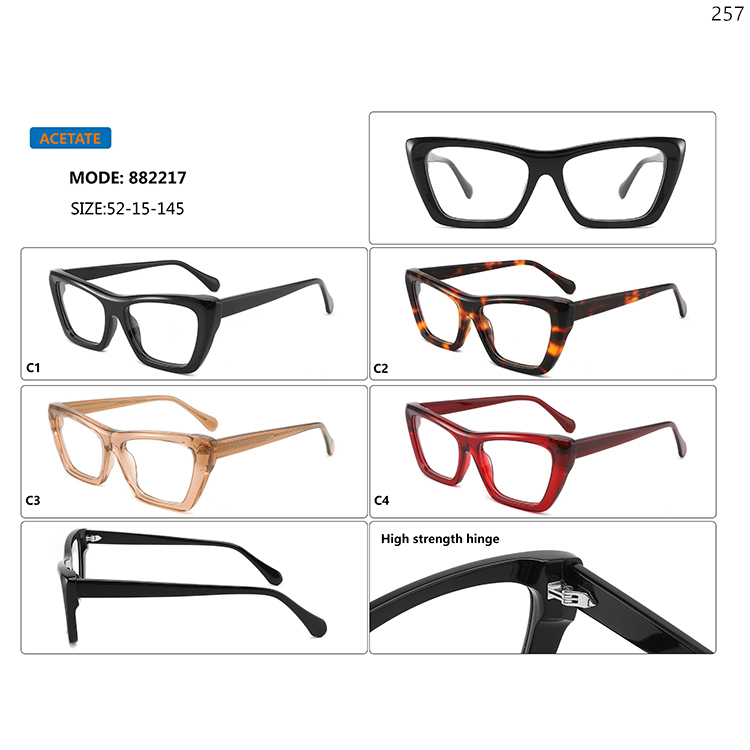 882216-20 Hot Fashion Adult Acetate Spectacle Frame with High Strength Metal Hinge (2)