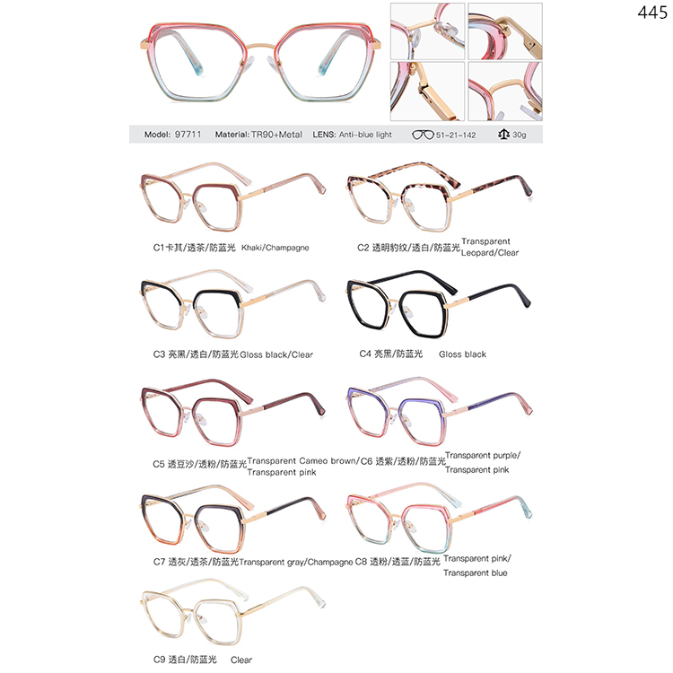 97689-97713 Customization Pattern Color TR90 Optical Frame  (4)