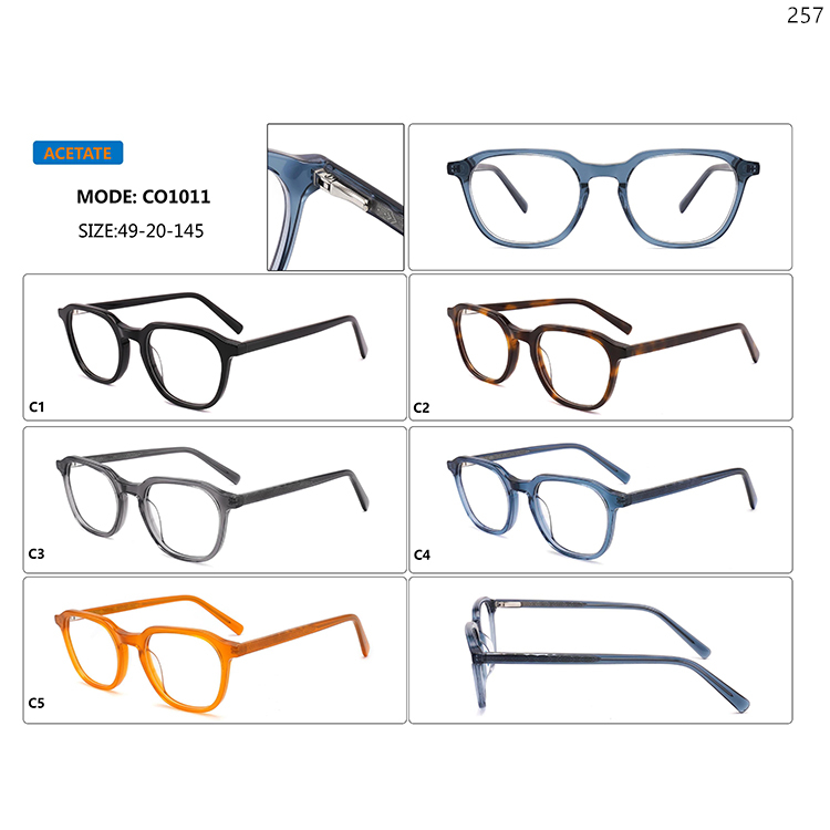 CO1010-14 Unisex Design Acetate Eyeglass Frames Glasses with Metal Spring Hinge (2)