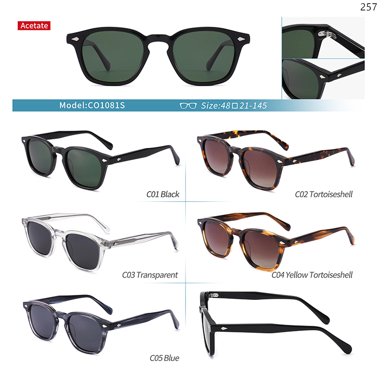 CO1072S-91S Classic Design Acetate Low MOQ Sunglasses Gafas Shades with Metal Hinge (2)