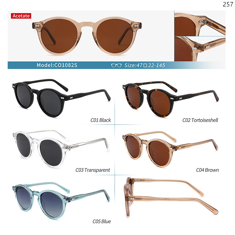 CO1072S-91S Classic Design Acetate Low MOQ Sunglasses Gafas Shades with Metal Hinge (3)