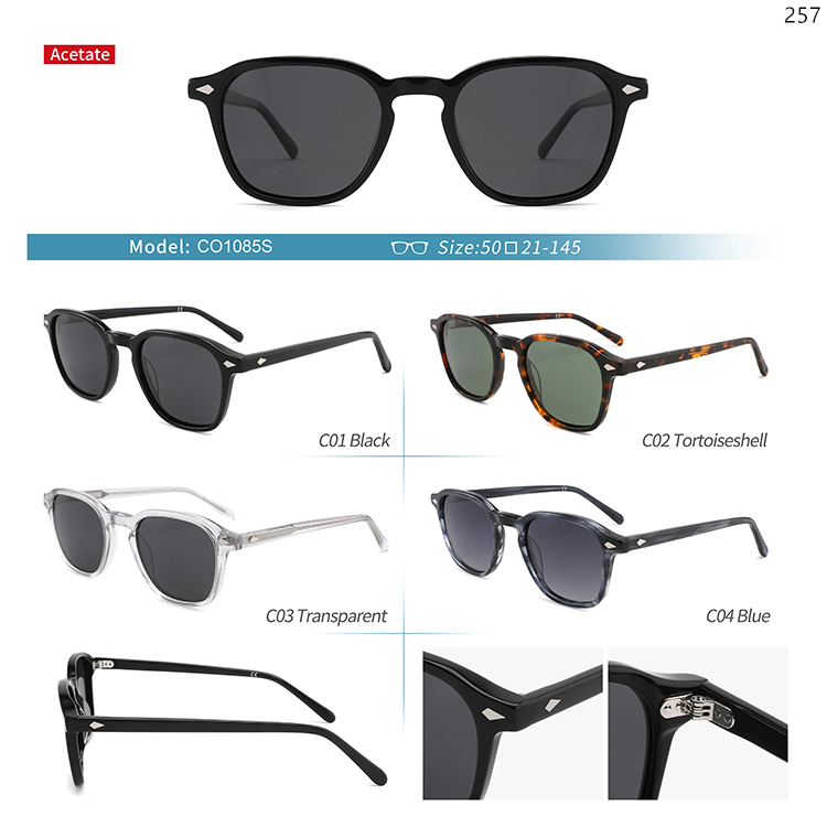 CO1072S-91S Classic Design Acetate Low MOQ Sunglasses Gafas Shades with Metal Hinge (4)