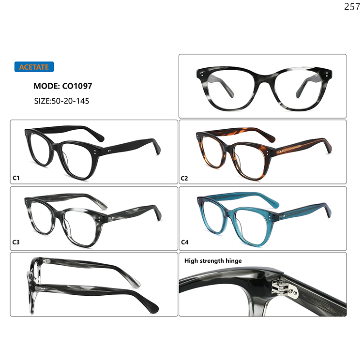 CO1095-100 Hot Vintage Design Spectacle Glasses Lunettes Optiques Goods In Stock (3)