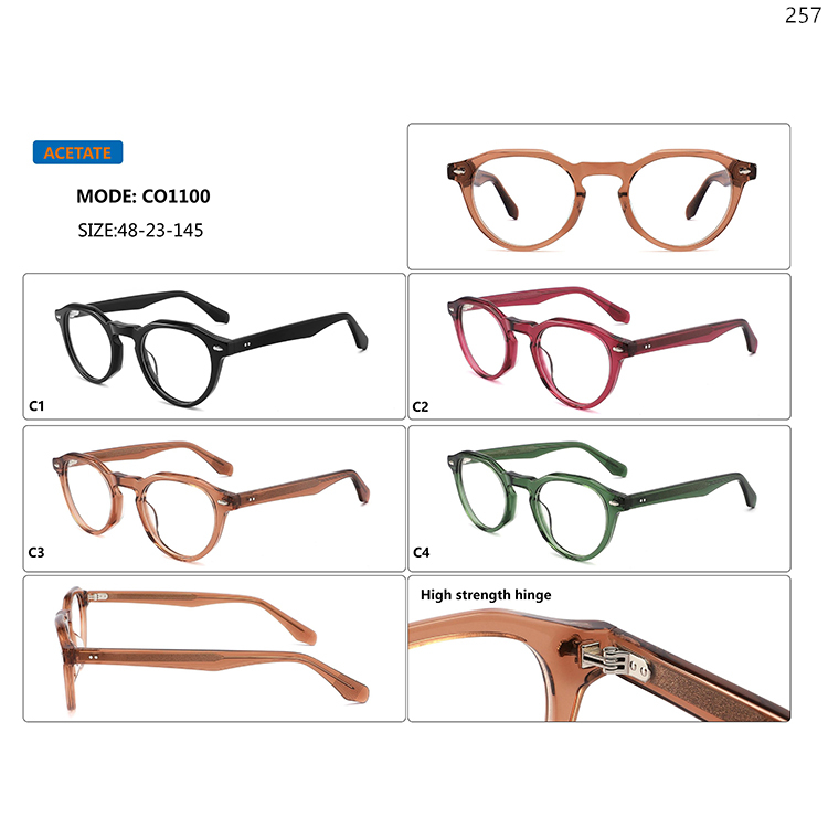 CO1095-100 Hot Vintage Design Spectacle Glasses Lunettes Optiques Goods In Stock (6)