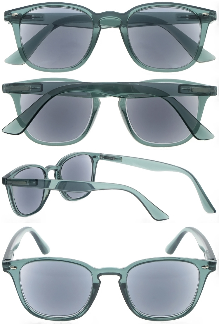 DRP102288 PC Sun Reader Reading sunglasses with Retro Style Spring Hinges (2)