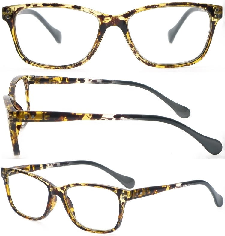 DRP102303 Unisex Plastic Reading Spectacles with Tortoise Pattern Custom Readers (1)