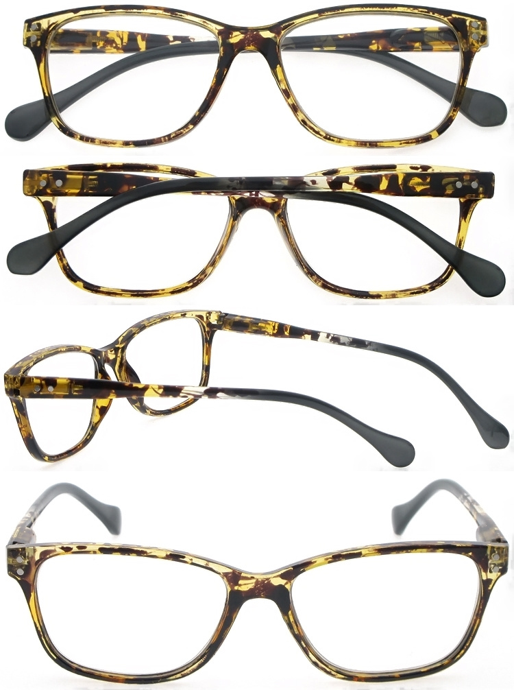 DRP102303 Unisex Plastic Reading Spectacles with Tortoise Pattern Custom Readers (2)