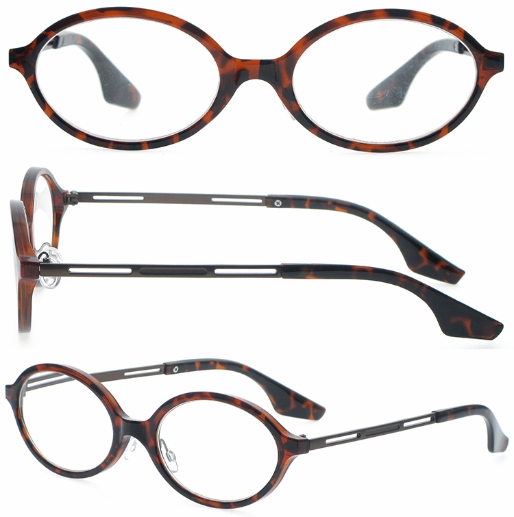 DRP131160 Unisex Design Oval PC Presbyopia Reading Glasses Spectacles Lesebrille with Metal Legs (1)