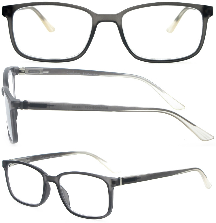 DRP317004 Custom Unisex PC Reading Glasses with Spring Hinges (1)