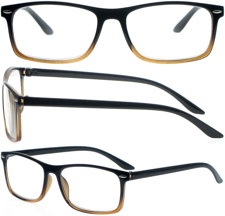 DRP317006 Unisex Rectangle PC Reading Glasses with Screw Hinges (1)