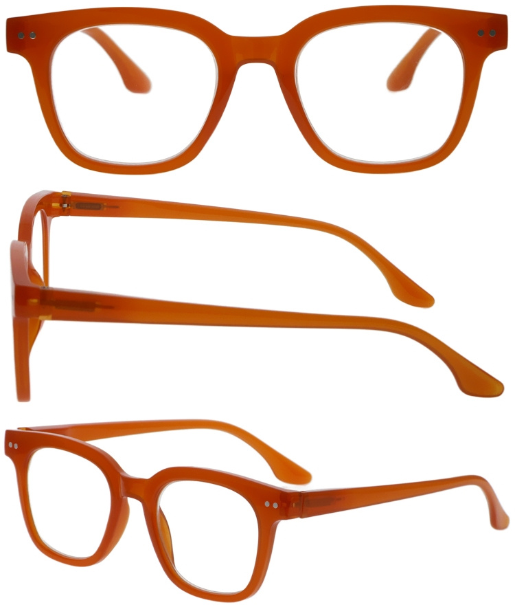DRP317028 Outdoor Work Reading Glasses For Low Vision (1)